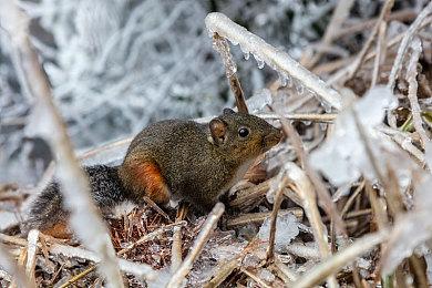 PLAYISM游戏展：《穆拉纳秘宝2》新内容1月23日发售