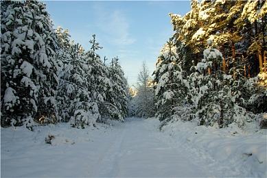 分析师称《GTA6》或将重定义游戏业 就像五代那样