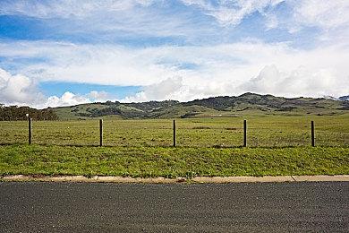 《醉汉模拟器》上架Steam平台 尽情买醉胡闹！
